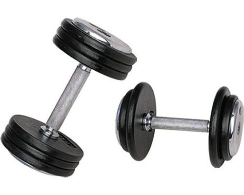 Гантель чавунна inSPORTline ‎‎ProfiST 12,5 кг