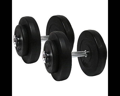 Гантелі розбірні WCG 2 х 10 кг з хромованим грифом