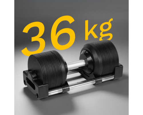 Гантель розбірна Rebel Active RBA-2331-36 36 кг