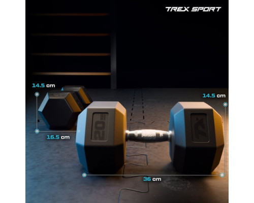 Гантель шестигранна Trex Sport TX-200RD 20 кг