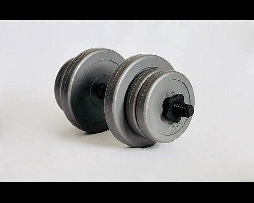 Гантелі розбірні WCG 2 х 10 кг сірі