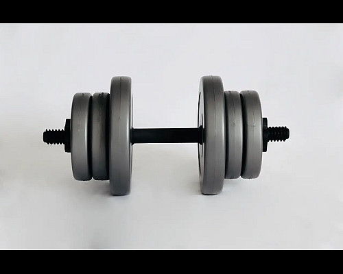 Гантелі розбірні WCG 2 х 10 кг сірі