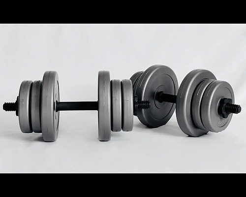 Гантелі розбірні WCG 2 х 10 кг сірі