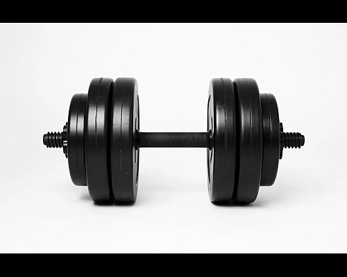 Гантелі розбірні WCG 2 х 13 кг чорні