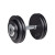 Гантель inSPORTline ProfiST 25 кг