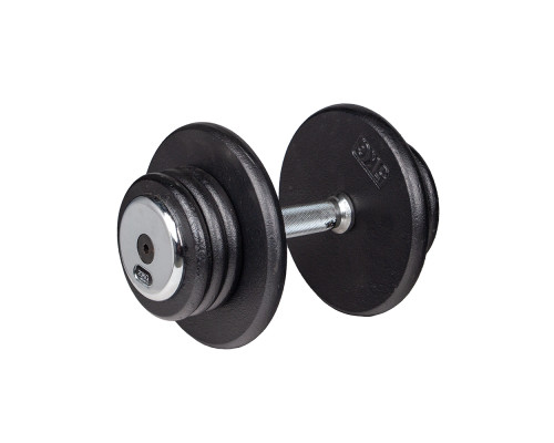 Гантель inSPORTline ProfiST 20 кг