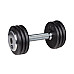 Гантель inSPORTline ProfiST 10 кг