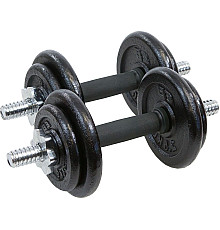 Гантель розбірна чавунна Eb Fit 2 х 9,5 кг