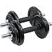 Гантель розбірна чавунна Eb Fit 2 х 9,5 кг