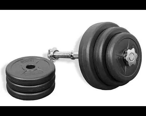 Гантелі розбірні з хромованим грифом WCG 2 х 20 кг