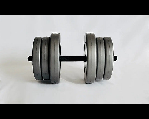 Гантелі розбірні WCG 2 х 20 кг сірі