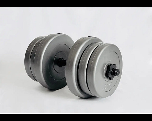 Гантелі розбірні WCG 2 х 20 кг сірі