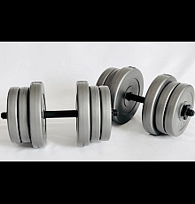 Гантелі розбірні WCG 2 х 20 кг сірі