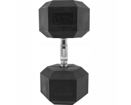 Гантель шестигранна Gorilla Sports Hex 40 кг