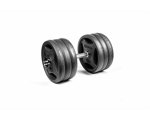 Гантель розбірна металева RN-Sport RN_QTR31, 31 кг