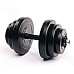 Гантелі розбірні сталеві Elitum, 2 x 18,5 кг