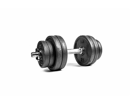 Гантель розбірна RN-Sport 16 кг