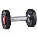Гантель сталева inSPORTline Profi, 6 кг