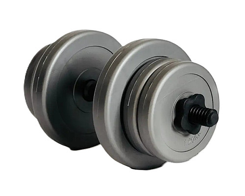 Гантель розбірна WCG  10 кг сіра