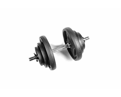 Гантель розбірна RN-Sport RN_QTR18 18,5 кг
