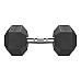 Гантель шестигранна Eleiko XF 16 кг