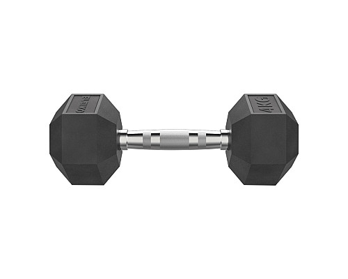 Гантель шестигранна Eleiko XF 4 кг