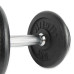 Гантель розбірна чавунна VIRTUFIT PRO 15 кг