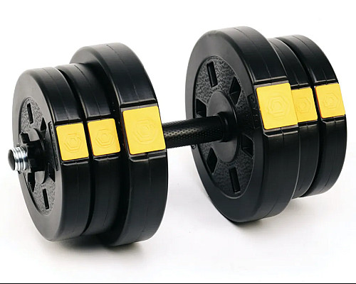 Гантелі розбірні Besport PowerPro, 2 х 21 кг