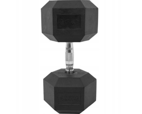 Гантель шестигранна Gorilla Sports Hex 42,5 кг