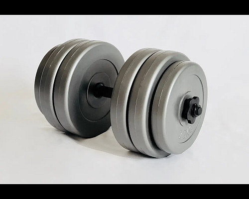 Гантель розбірна WCG 25 кг сіра