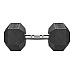 Гантель шестигранна Eleiko XF 20 кг