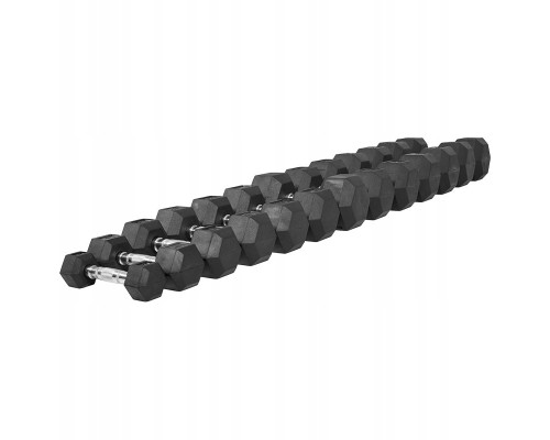 Гантелі шестигранні Gorilla Sports Hex 4-25 кг