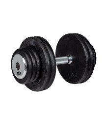 Гантель inSPORTline ProfiST 30 кг