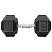 Гантель шестигранна HMS HEX PRO BLACK, 16 кг