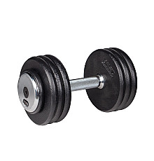 Гантель inSPORTline ProfiST 17,5 кг
