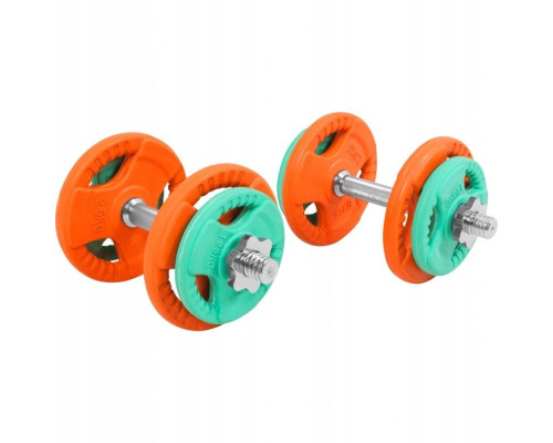 Гантелі розбірні Gorilla Sports 2 х 10 кг, різнокольорові