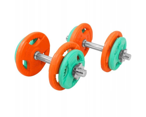 Гантелі розбірні Gorilla Sports 2 х 10 кг, різнокольорові