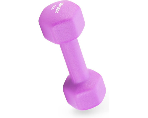 Гантелі неопренові Gymtek Hex 2 х 3 кг, фіолетовий