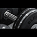 Гантель Eleiko Plate з обертовою ручкою, 50 кг