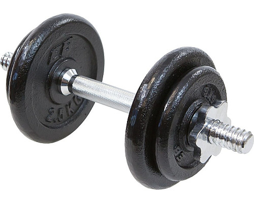 Гантель розбірна чавунна Eb Fit 10 кг