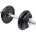 Гантель розбірна чавунна Eb Fit 10 кг