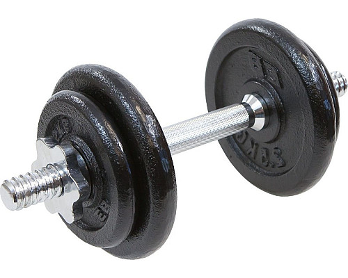 Гантель розбірна чавунна Eb Fit 10 кг