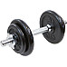Гантель розбірна чавунна Eb Fit 10 кг