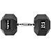 Гантель шестигранна HMS HEX PRO, 27,5 кг