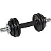 Гантель розбірна чавунна Eb Fit 7 кг
