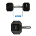 Гантель шестигранна 10 кг THUNDER