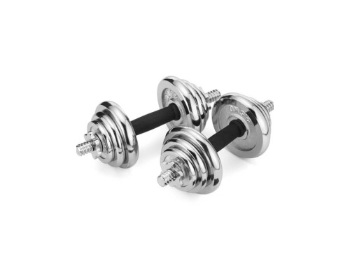 Набір гантелі в кейсі Gymtek чавунні 2х10 кг