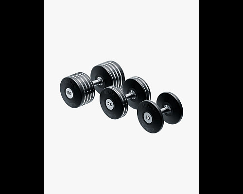 Гантель Eleiko Plate з обертовою ручкою, 25 кг