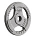 THM2 HAMMERTONE PLATE 2.5 KG HMS