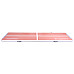 Килимок надувний Airtrack inSPORTline Airstunt 500x100x10 см, рожевий